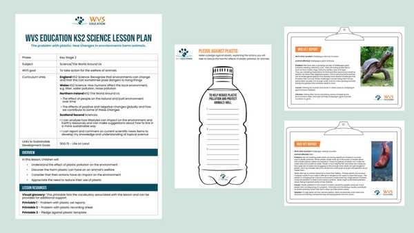 Lesson Plan and Printables