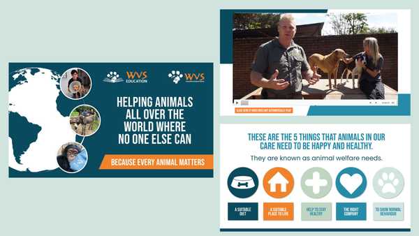 Assembly PowerPoint with embedded video