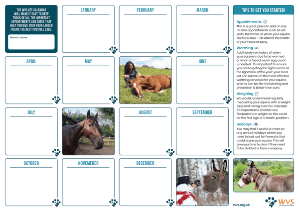 Horse calendar