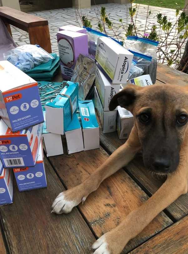 Donate to our shoebox appeal Donate to our shoebox appeal