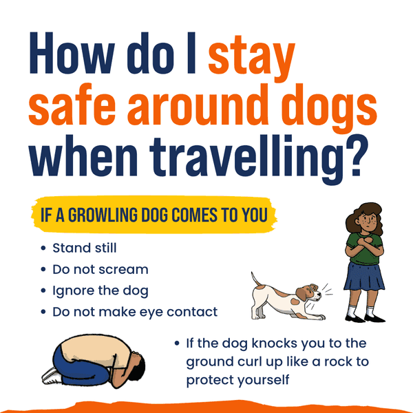 I love dogs, how do I stay safe around them? I love dogs, how do I stay safe around them?