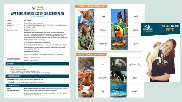 Lesson Plan and Printables