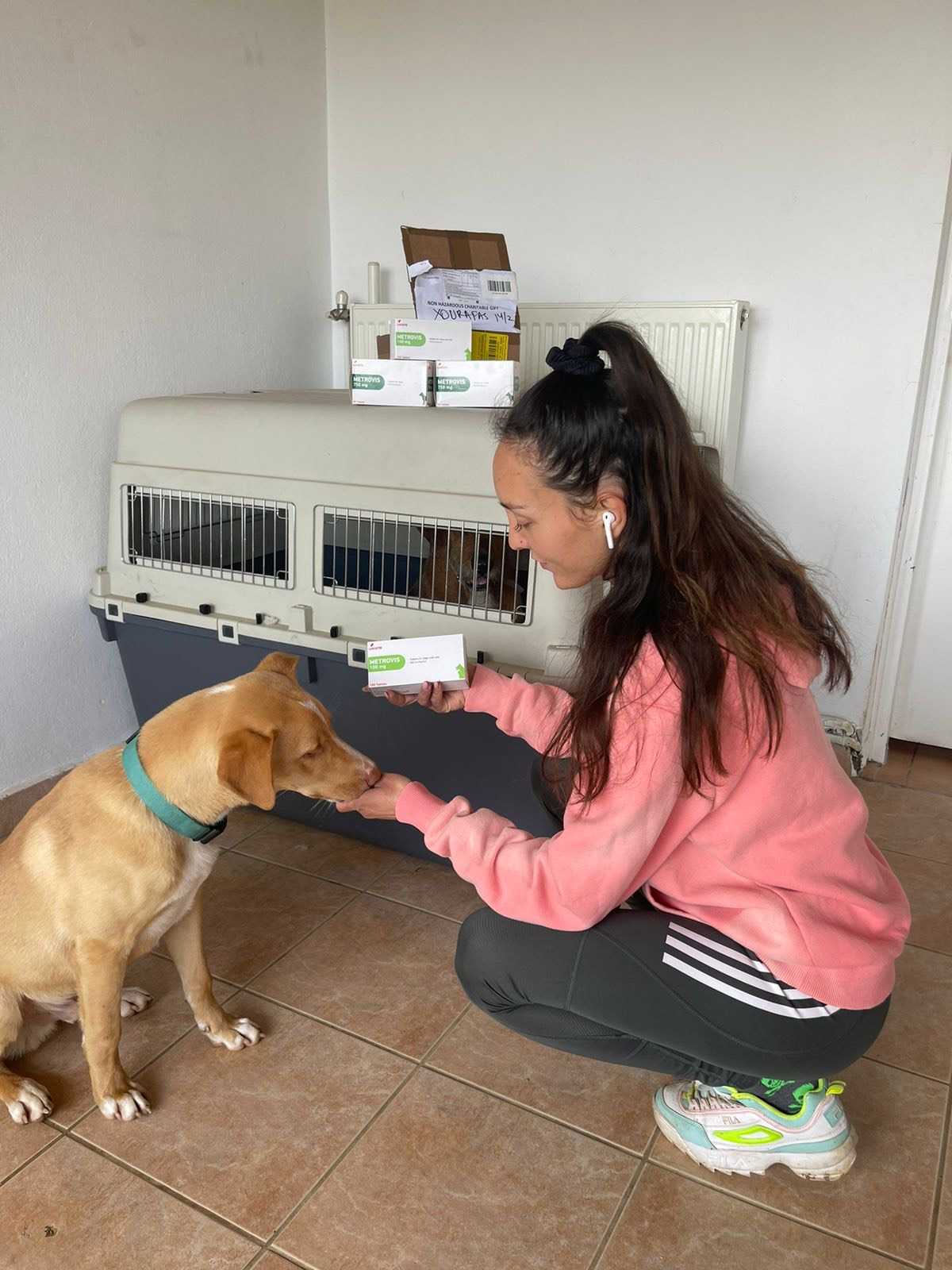 Life-changing veterinary aid parcels
