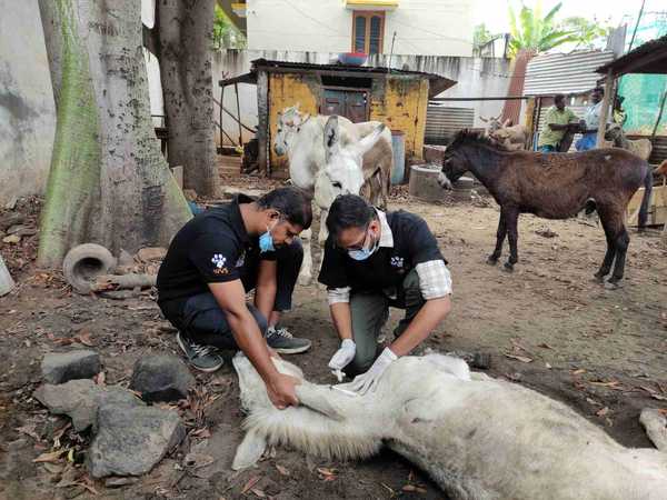 We have been at the forefront of animal welfare since 2003