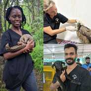 KS1 Science - Fur, Fins or Feathers