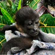 KS2 Geography - Impact of Infrastructure