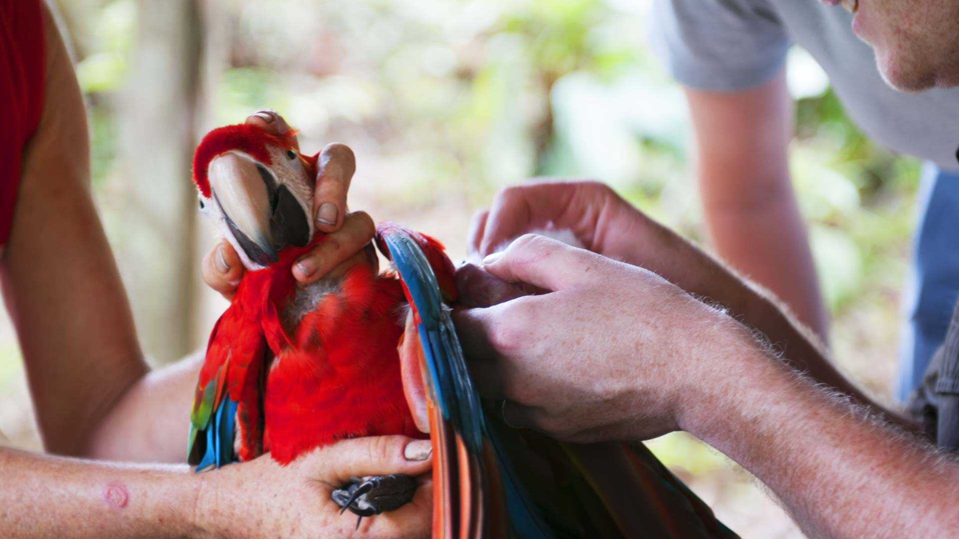 Provide the care animals in need deserve