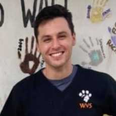 Dr Jack Phelan (Veterinarian)