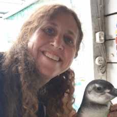Ellie Shelburne (Veterinarian)