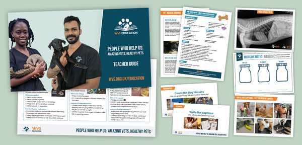 Teacher Guide Printables