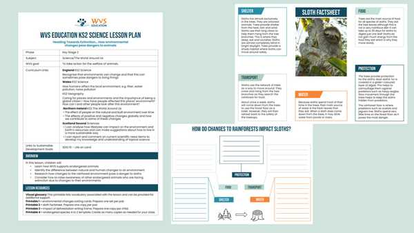 Lesson Plan and Printables