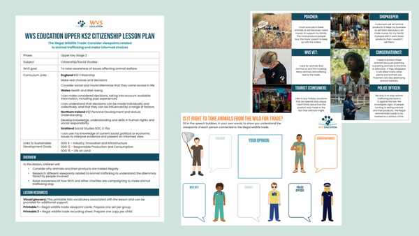 Lesson Plan and Printables