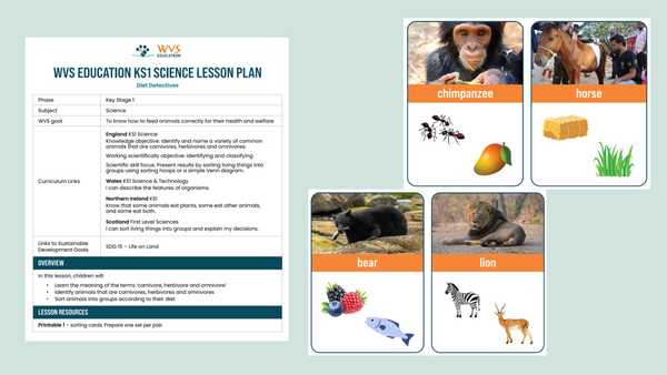 Lesson Plan and Printables