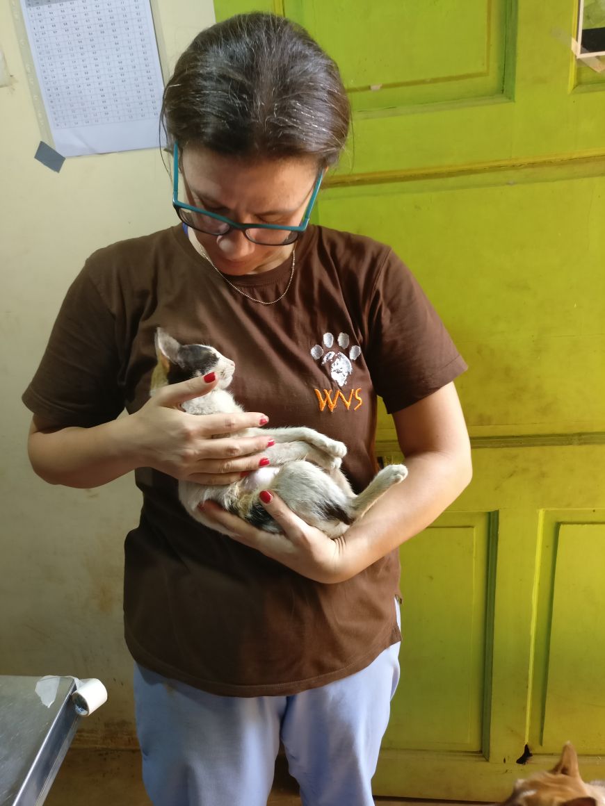Vet assistant makes a sustainable difference with WVS