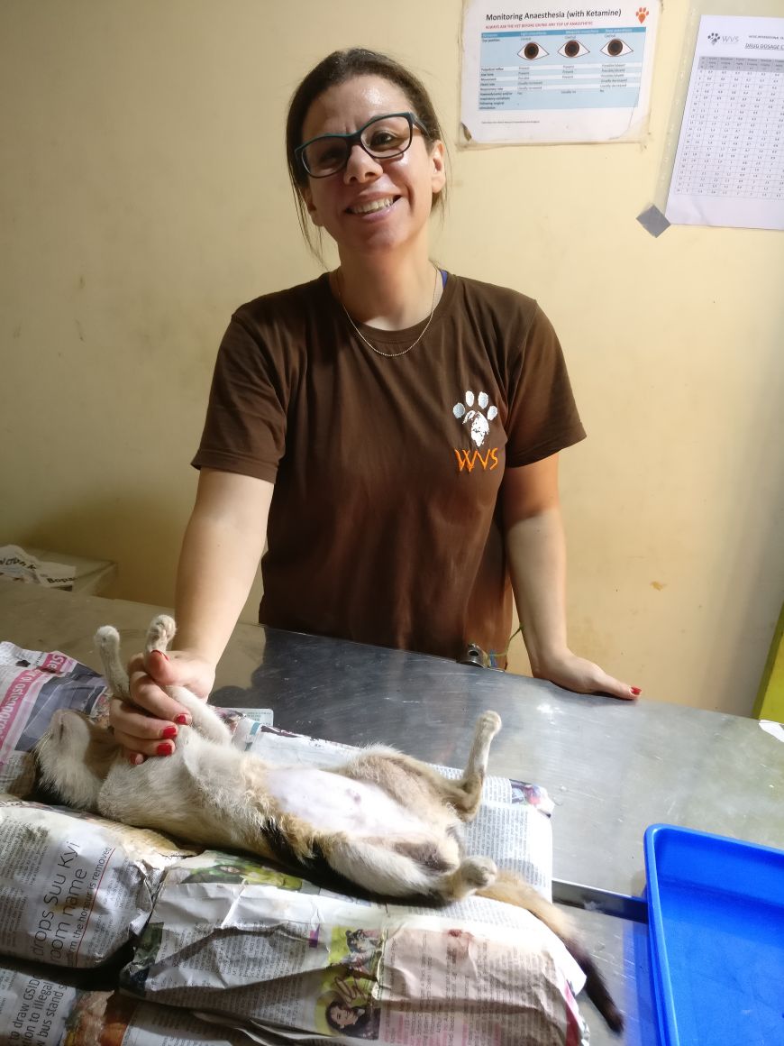 Vet assistant makes a sustainable difference with WVS