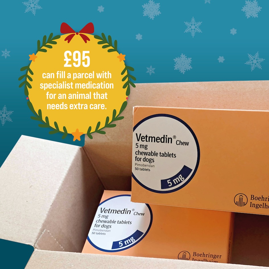 £95 can fill a parcel with specialist medication for an animal that needs extra care.