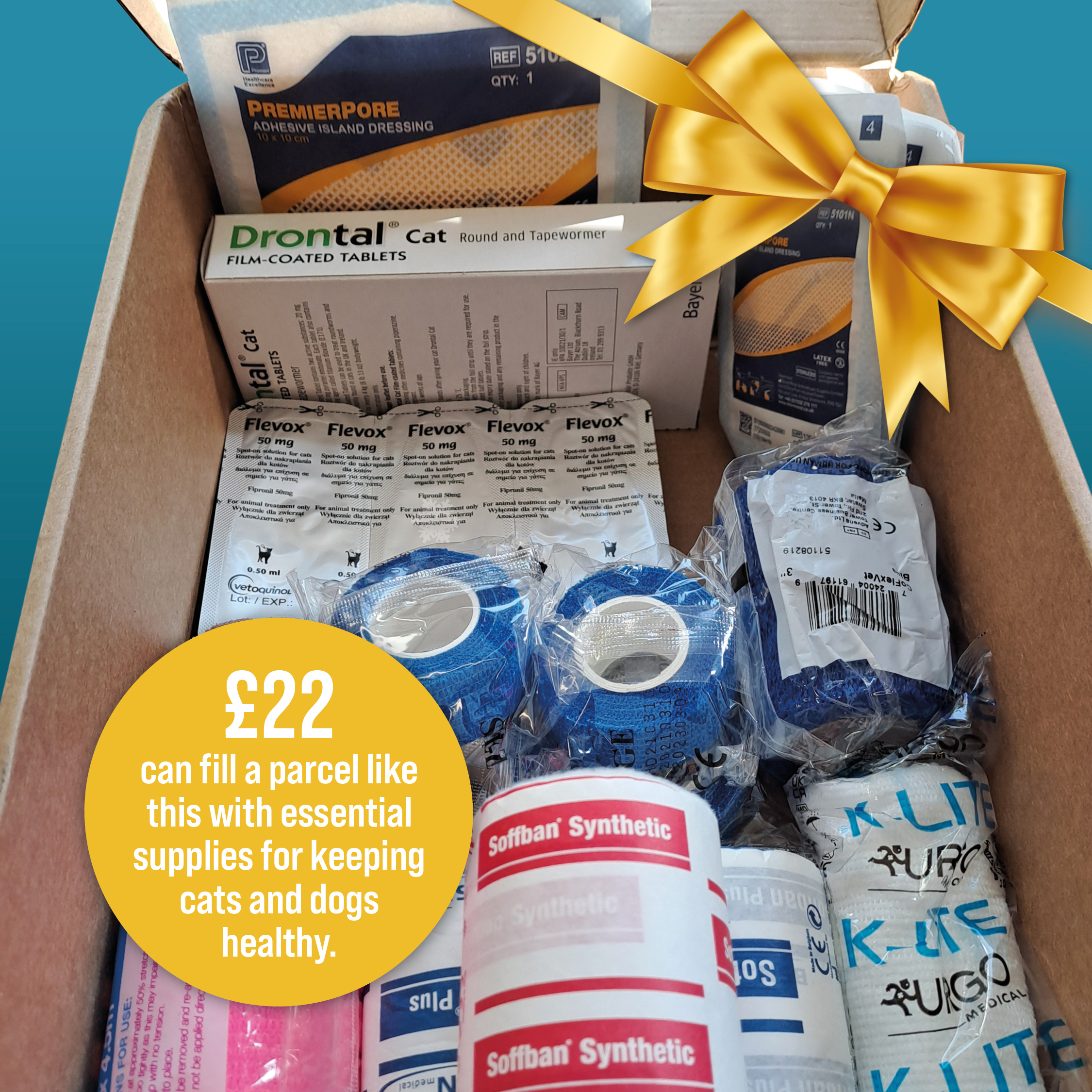 £22 can fill a parcel like this with essential supplies for keeping cats and dogs healthy.