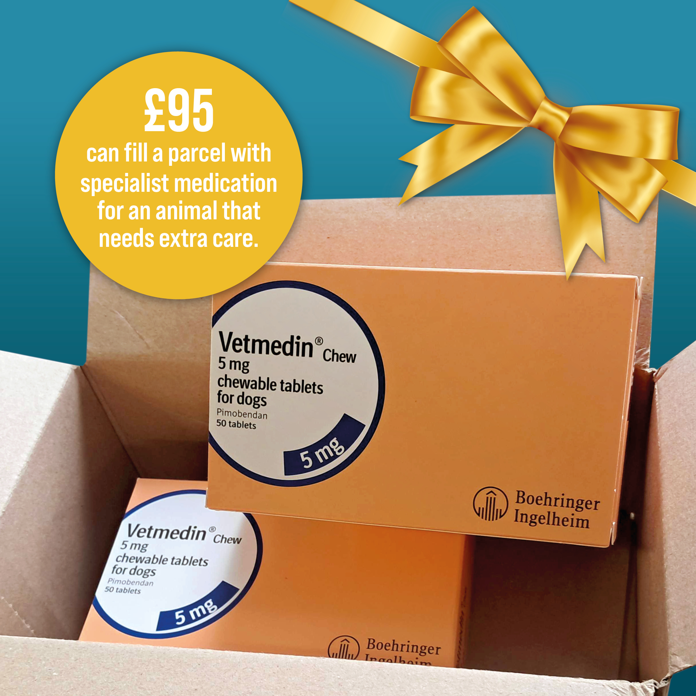 £95 can fill a parcel with specialist medication for an animal that needs extra care.