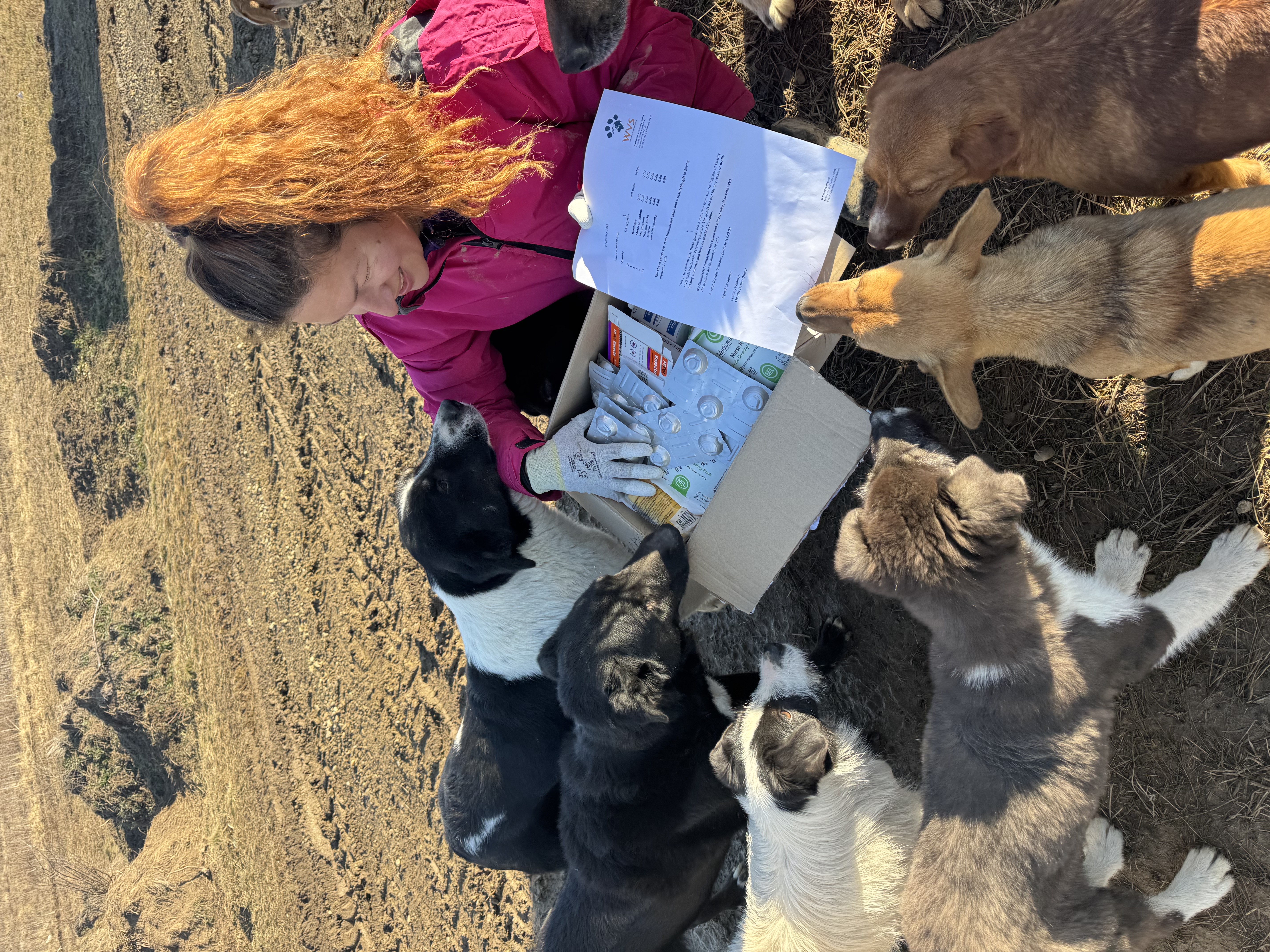 Aid Parcels: delivering hope one shoebox at a time.