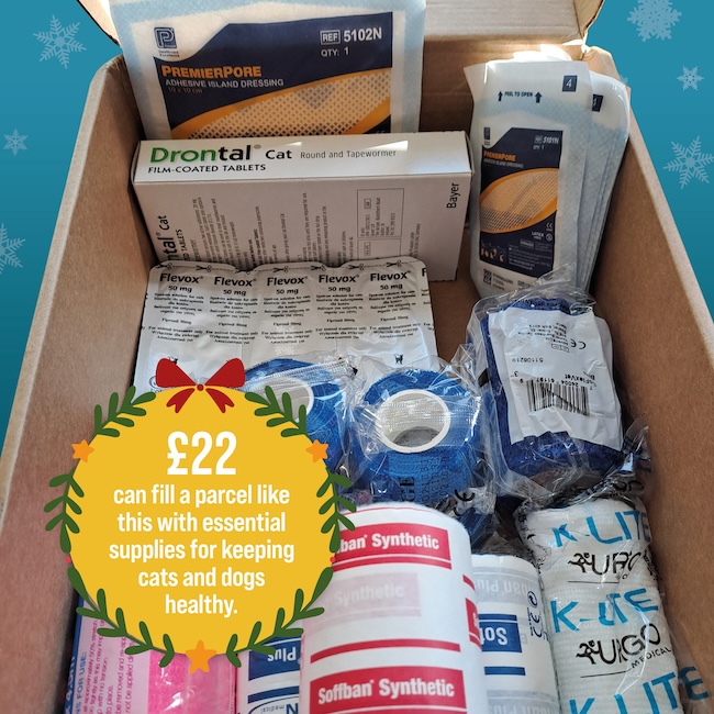 £22 can fill a parcel like this with essential supplies for keeping cats and dogs healthy.